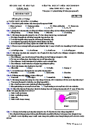 Đề kiểm tra học kỳ I môn Sinh học Lớp 10 - Mã đề 412 - Năm học 2018-2019 - Sở giáo dục và đào tạo tỉnh Quảng Nam